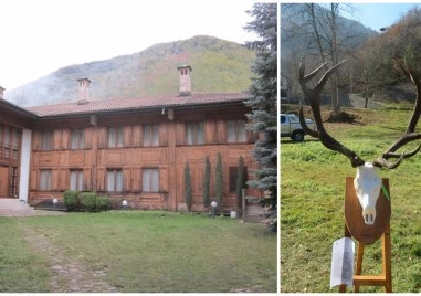 Разследват сигнал за бракониерство, замесен е бивш директор на ловно стопанство в Пловдивксо