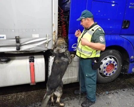 Граничарското куче Пирин откри 46 кг марихуана на 