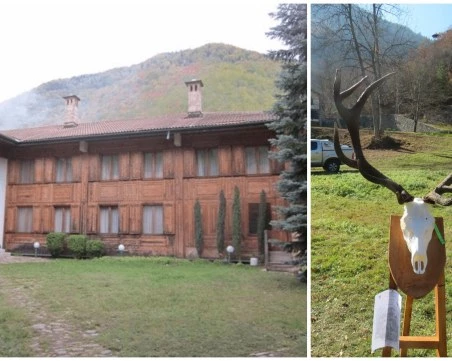 Разследват сигнал за бракониерство, замесен е бивш директор на ловно стопанство в Пловдивксо