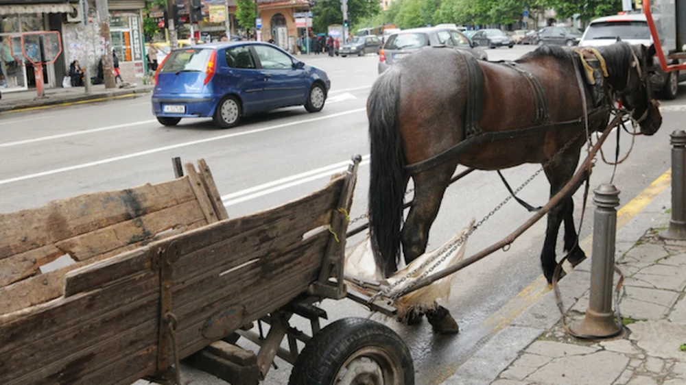 Каруца блъсна жена на пешеходна пътека в Асеновград