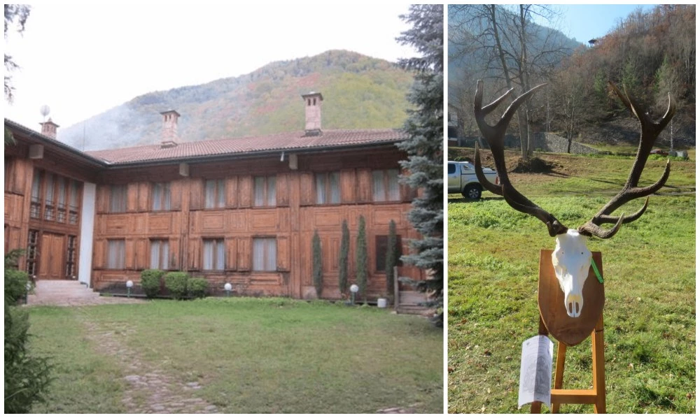 Разследват сигнал за бракониерство, замесен е бивш директор на ловно стопанство в Пловдивксо