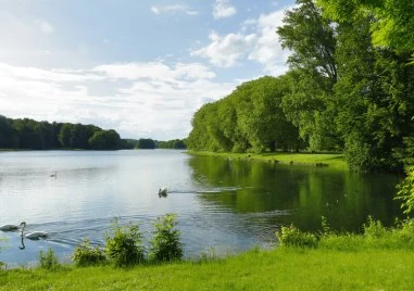 Езерата по света са застрашени от нашествие на едри животни