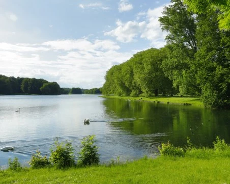 Езерата по света са застрашени от нашествие на едри животни