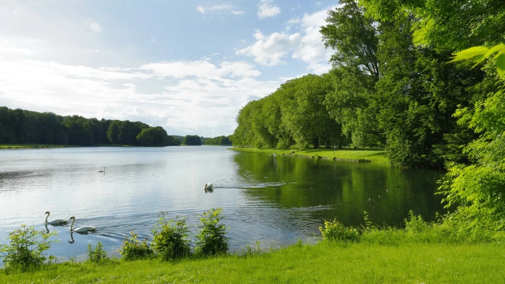 Езерата по света са застрашени от нашествие на едри животни