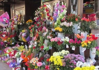 Навръх 8 март: Откраднаха цветя за 1000 евро край Несебър