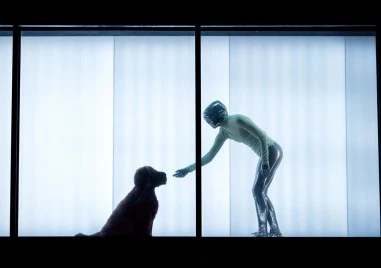 След броени дни: извънземни ще танцуват в камион на открито в Пловдив