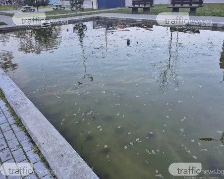 Фонтан в Пловдив се превърна в блато, зловонията се носят до детска площадка