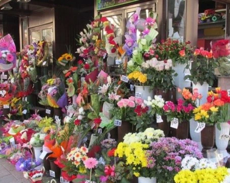 Навръх 8 март: Откраднаха цветя за 1000 евро край Несебър