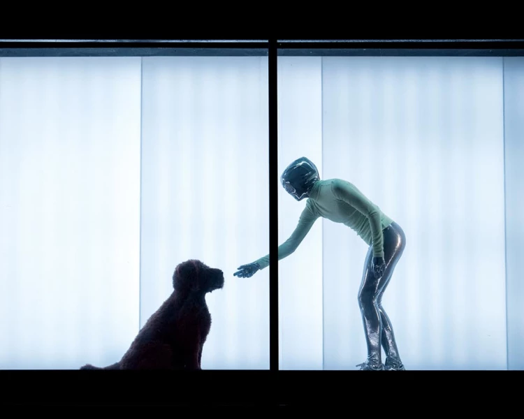 След броени дни: извънземни ще танцуват в камион на открито в Пловдив