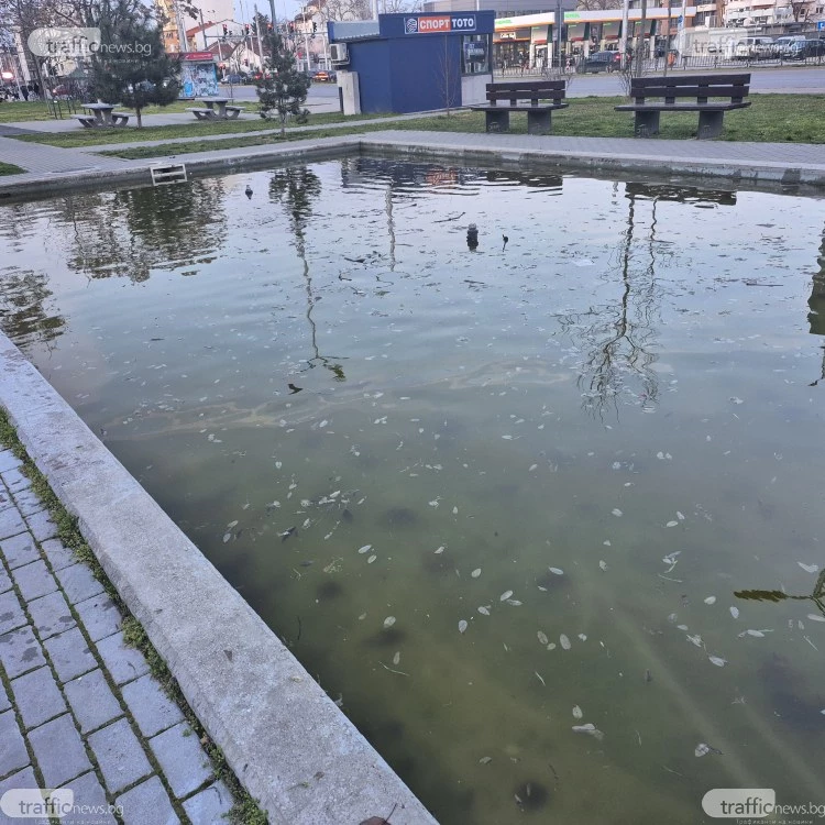 Фонтан в Пловдив се превърна в блато, зловонията се носят до детска площадка