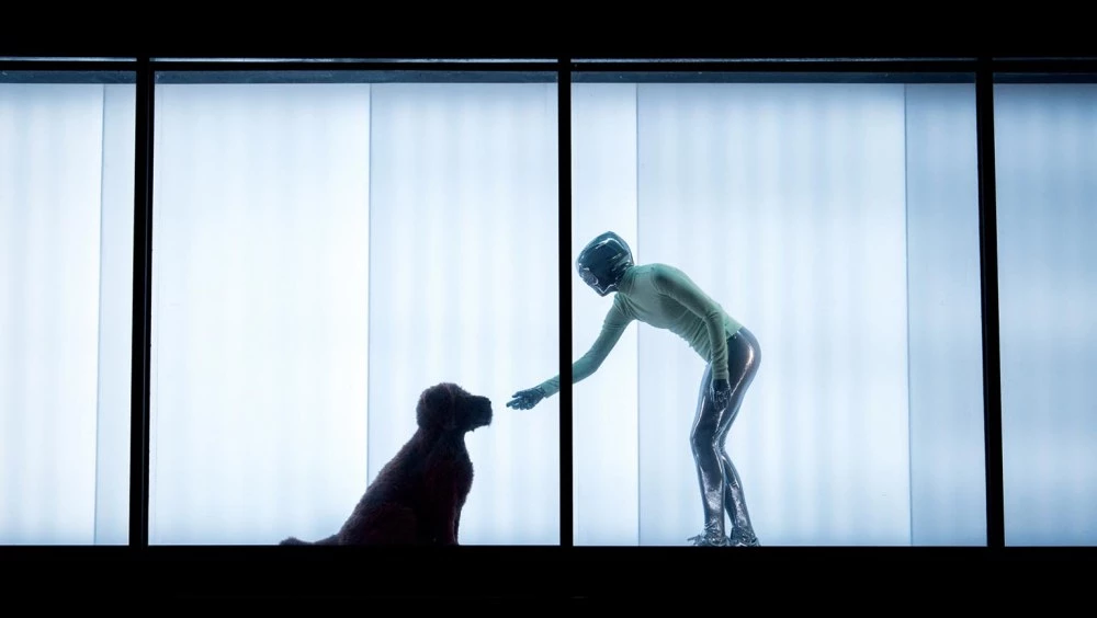 След броени дни: извънземни ще танцуват в камион на открито в Пловдив