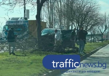 Автомобил изкорени дърво край Околовръстното в „Тракия