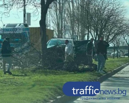 Автомобил изкорени дърво край Околовръстното в „Тракия