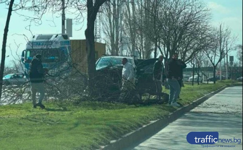 Автомобил изкорени дърво край Околовръстното в „Тракия