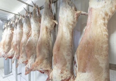 Какво агнешко и на каква цена ще ядем за Великден?