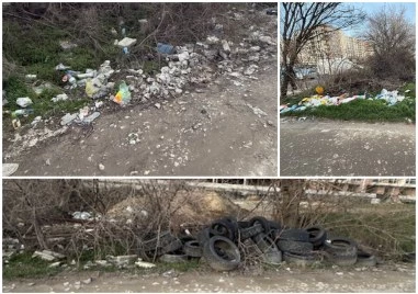 Бунище изникна на път, който не е път край Оазисите в Кючука – „улицата се оказа частна