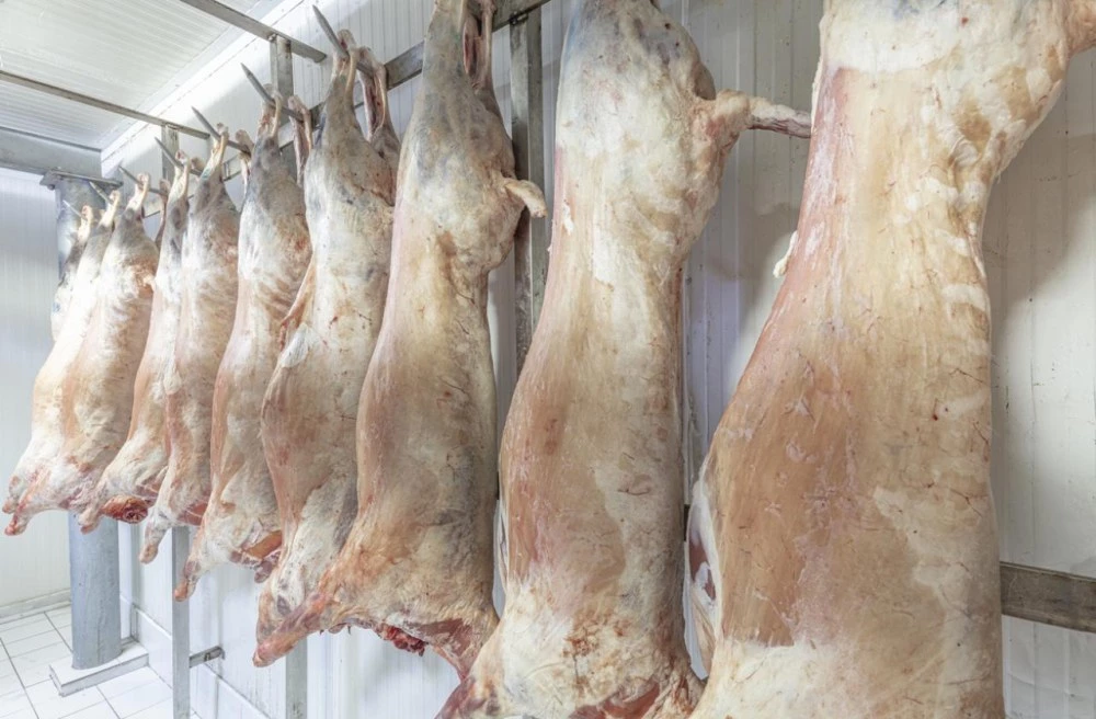 Какво агнешко и на каква цена ще ядем за Великден?