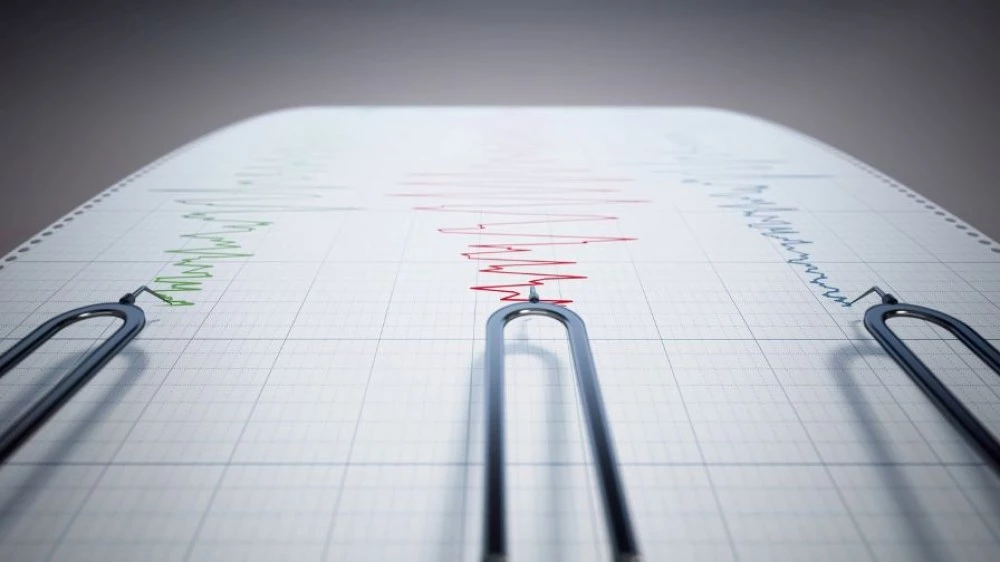 Силно земетресение предизвика паника в Турция