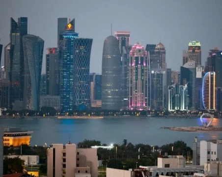 4-те страни в света, в които няма естествени гори