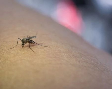 Пловдивчанка се зарази с Чикунгуня след почивка на Сейшелите