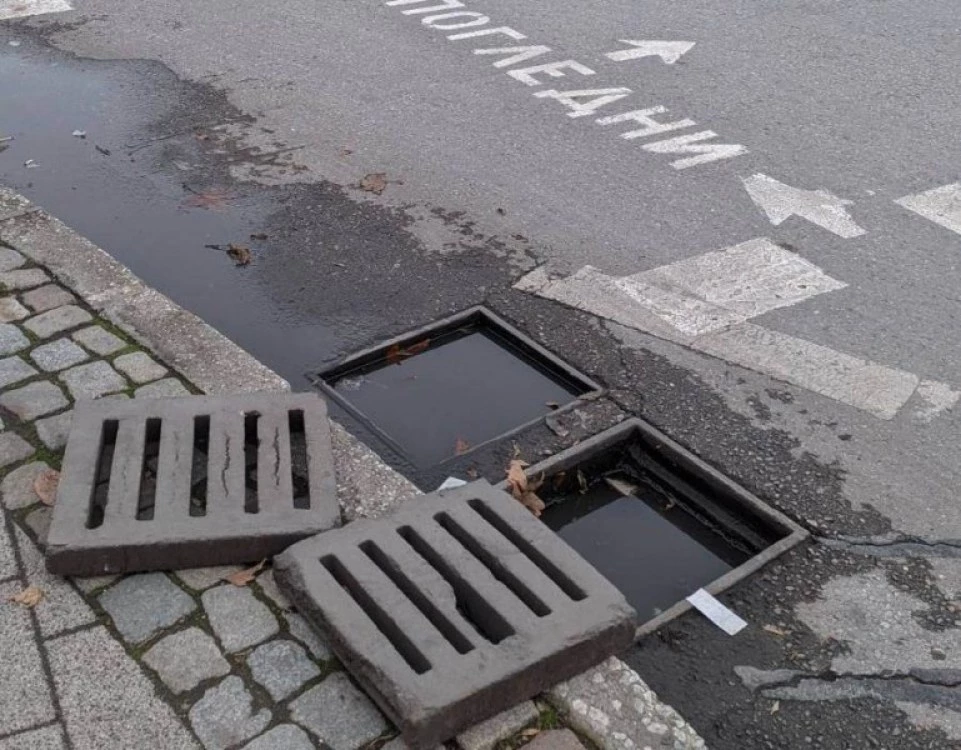 Община Пловдив започва борбата срещу гризачи