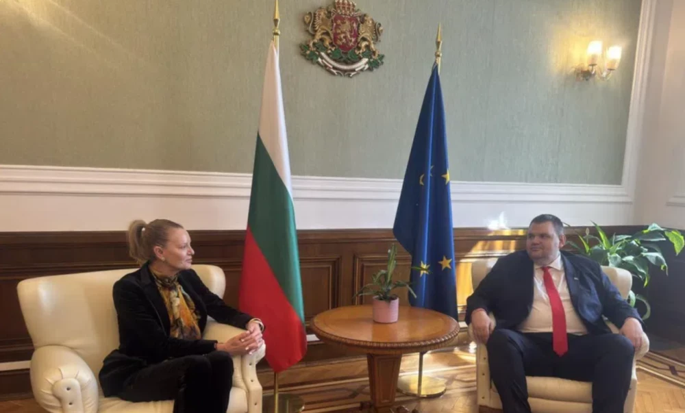 Стефка Костадинова напуска БОК, кандидатира се за депутат от ДПС 