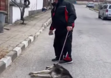 Грозно! Мъж влачи куче на каишка