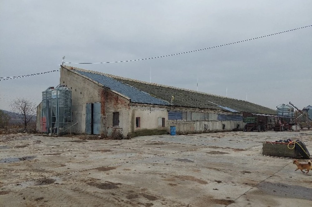 Животновъден комплекс в Пловдивско пустее, търг на ЧСИ търси инвеститор