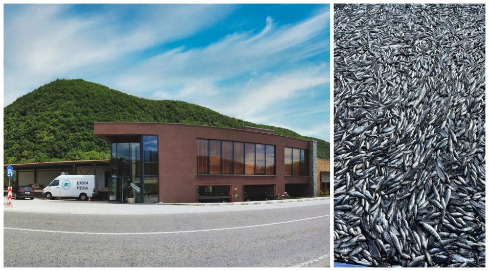 Бизнесменът, задържан за отравянето на тонове риба край Пловдив, остава за постоянно в ареста