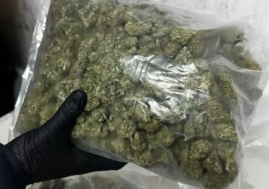 Съдът в Пловдив остави в ареста турски шофьор за опит за контрабанда на марихуана за над 11 млн. лева лева