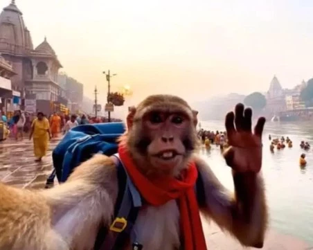 Започват борба срещу 