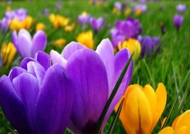 Астрономическата пролет настъпи!