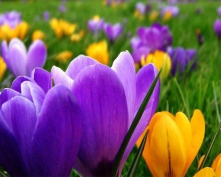 Астрономическата пролет настъпи!