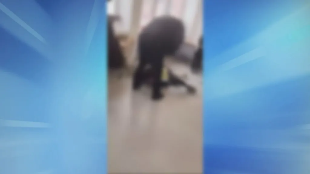 Нов случай на агресия в училище: Охранител удари седмокласник