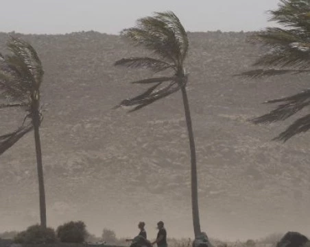 Бурята „Тереза