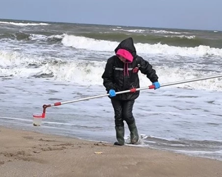 Вземат проби от Шабленското езеро заради намерените мъртви птици