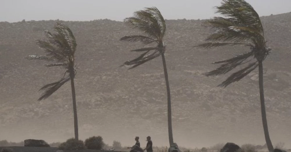 Бурята „Тереза