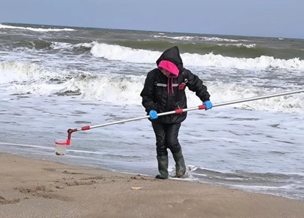 Вземат проби от Шабленското езеро заради намерените мъртви птици