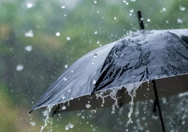 Проф. Георги Рачев: Пролетта идва по-хладна и по-влажна