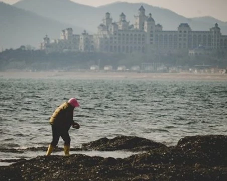 Проучване: Химикалите, произведени от човека, са навсякъде в световния океан