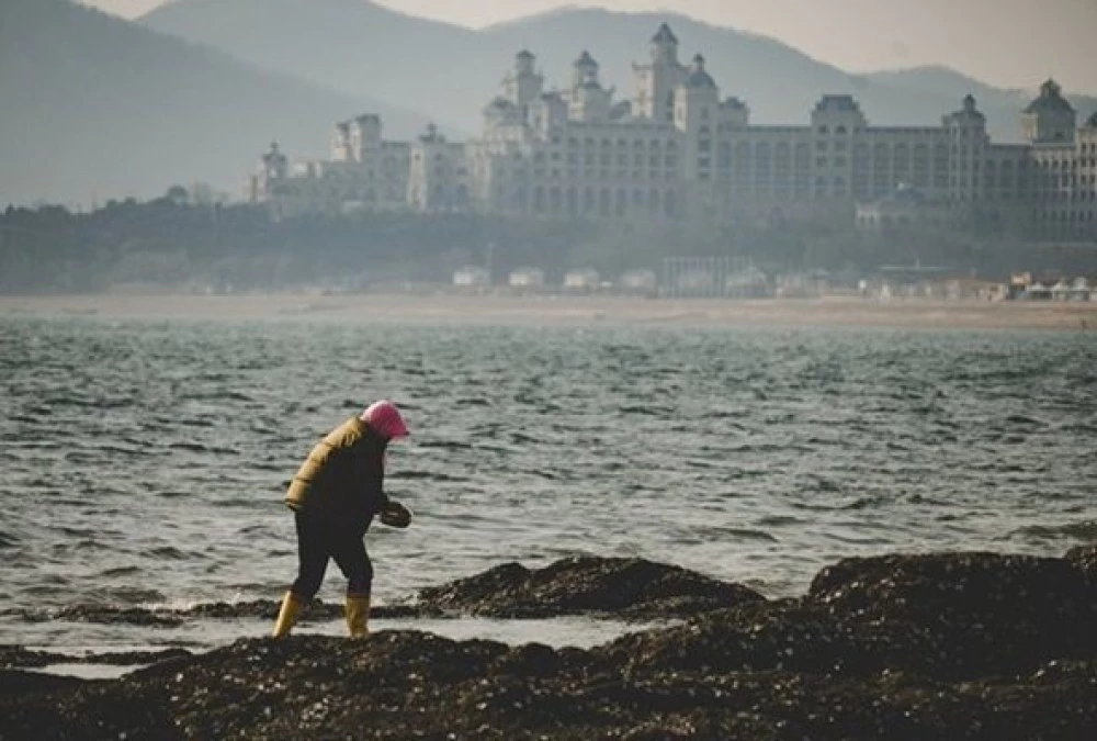 Проучване: Химикалите, произведени от човека, са навсякъде в световния океан