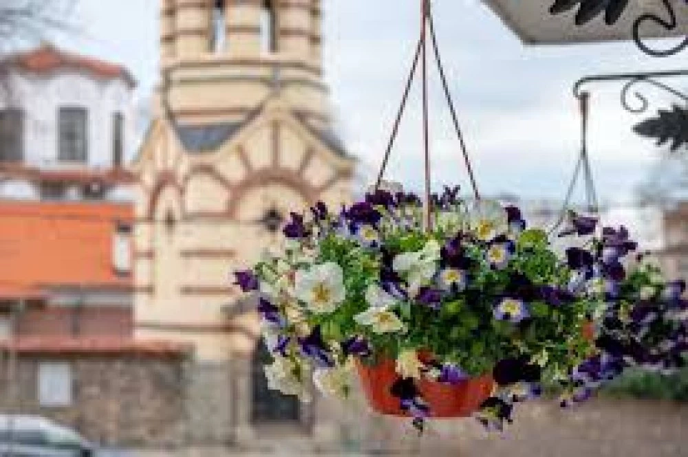 Слънце и пролетни температури в Пловдив