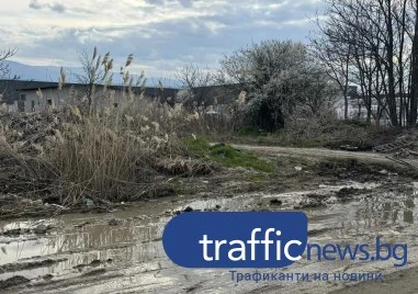 Кал до колене пред лъскави кооперации! Авария превърна улица в Пловдив в офроуд изпитание