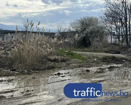 Кал до колене пред лъскави кооперации! Авария превърна улица в Пловдив в офроуд изпитание