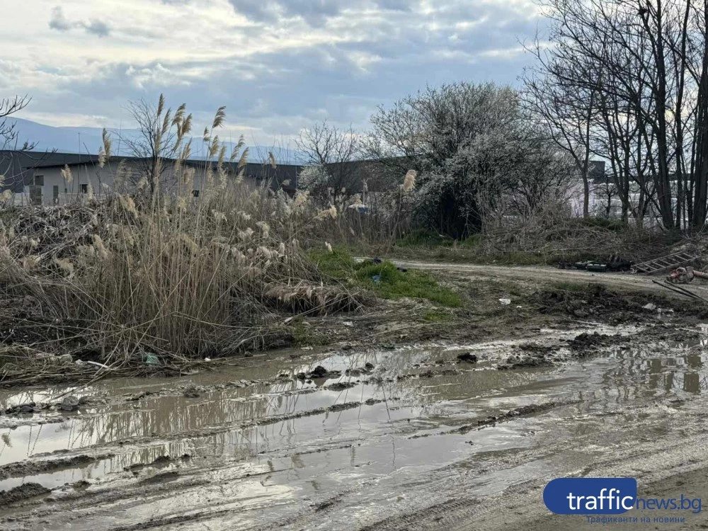 Кал до колене пред лъскави кооперации! Авария превърна улица в Пловдив в офроуд изпитание