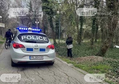 Куриозен случай в Пловдив! Операция Бръшлян мобилизира полиция в парк „Лаута