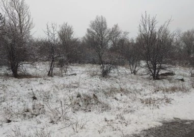 Сняг заваля в Перник и Радомирско