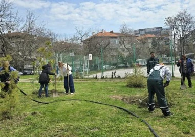 Стартира пролетната залесителна кампания в район „Северен