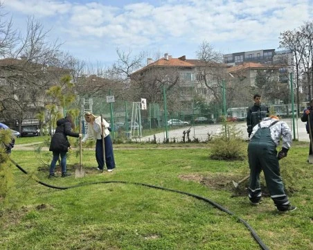 Стартира пролетната залесителна кампания в район „Северен
