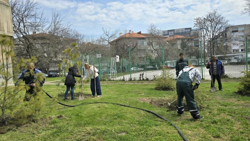 Стартира пролетната залесителна кампания в район „Северен